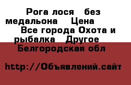 Рога лося , без медальона. › Цена ­ 15 000 - Все города Охота и рыбалка » Другое   . Белгородская обл.